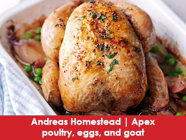 Andreas Homestead, Apex, Poultry & Eggs