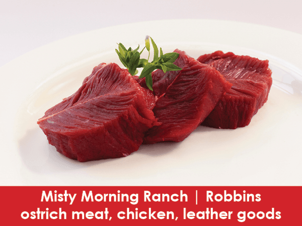 Misty Morning Ranch 2021