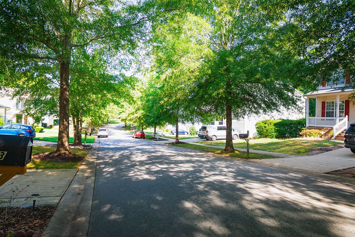 Street Tree Neighborhood