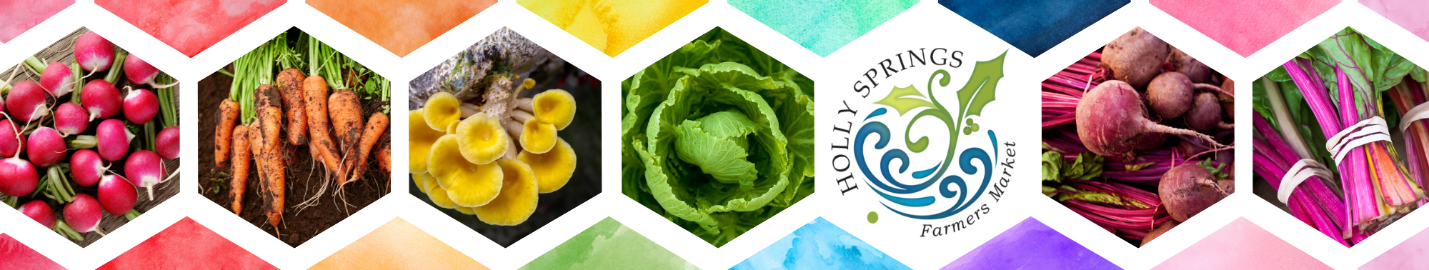 Blue Gradient Header Banner cropped