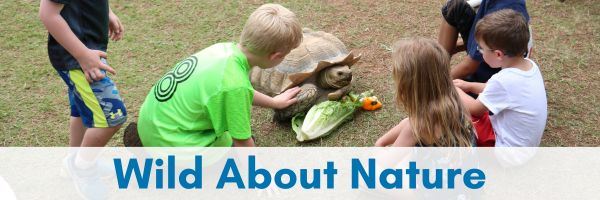 Wild About Nature Button