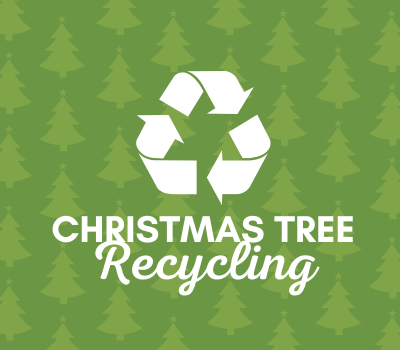 Christmas Tree Collection