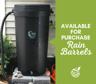 Rain Barrel